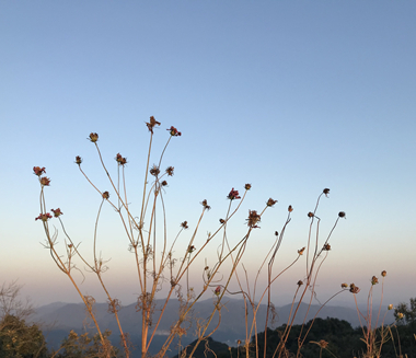 深圳市汇洁爱心基金会诚信自律制度