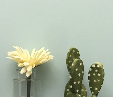 深圳市汇洁爱心基金会